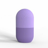 Ice Cube Trays Face Massager Facial Roller